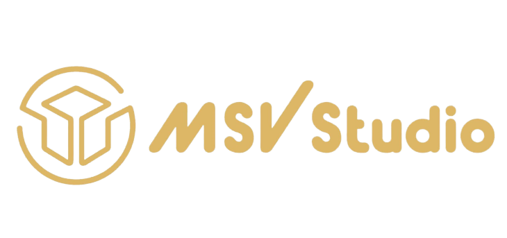 logo msv